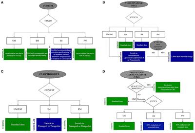 Pharmacogenomics of Medications Commonly Used in the Intensive Care Unit